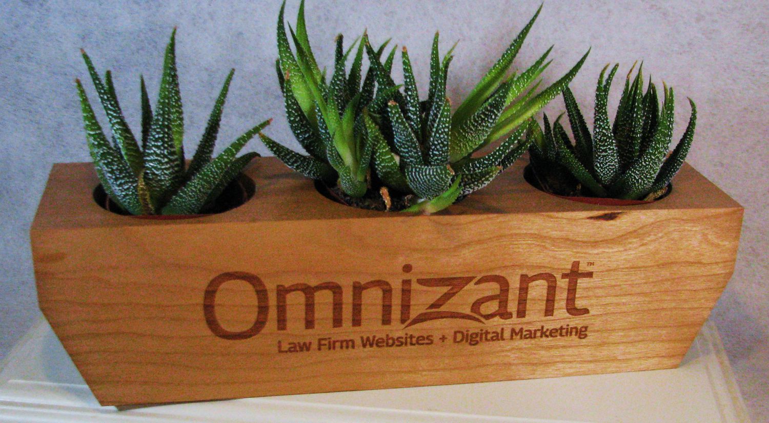 Planter Cube - Milestone Cube
