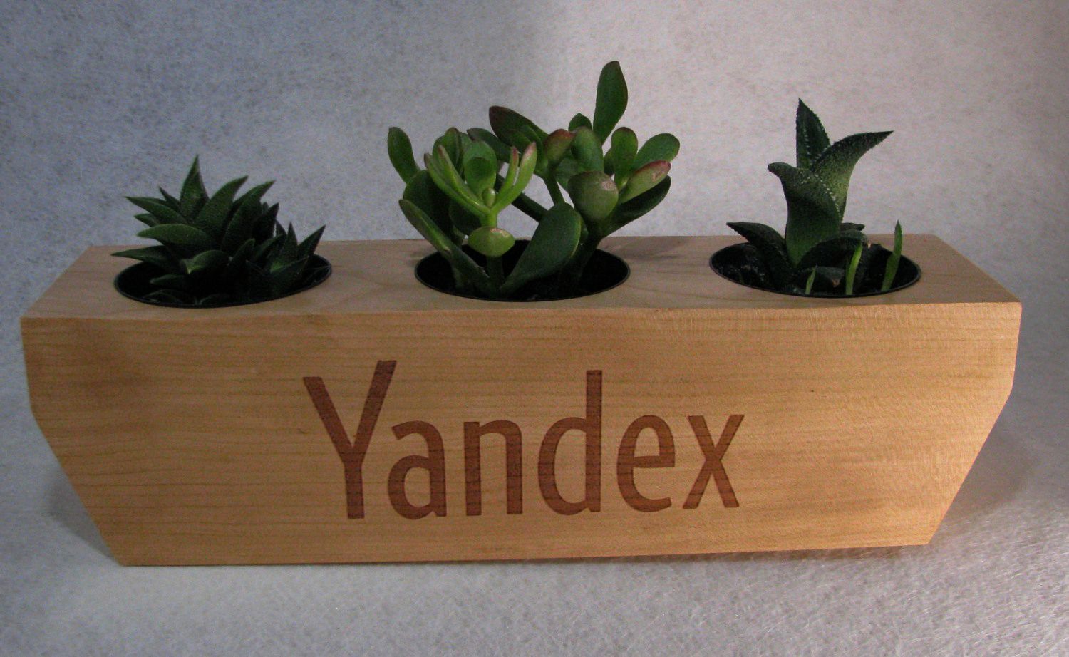 Planter Cube - Milestone Cube