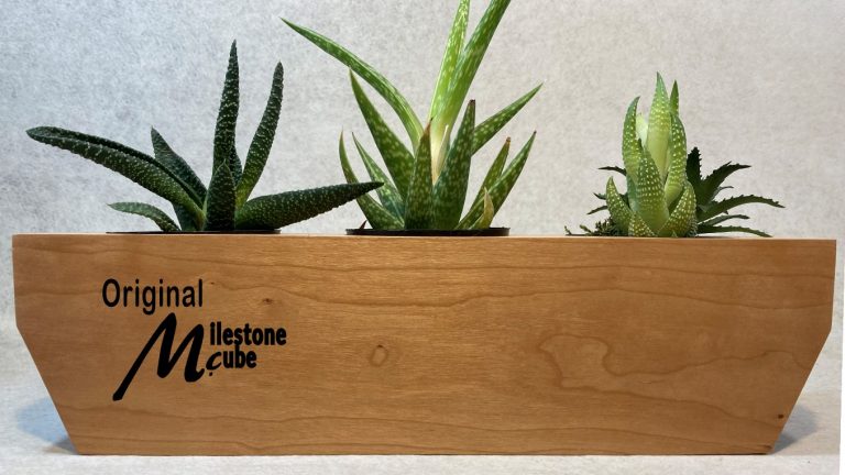 The Original Milestone Cube Trio Planter